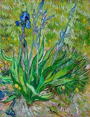 Vincent Van Gogh thinned cardboard Spain oil painting art